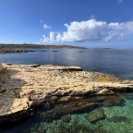 Apartamento New 1 Bedroom Oceanfront By Mabeli